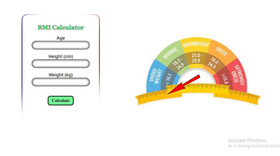 BMI calculator project screenShot
